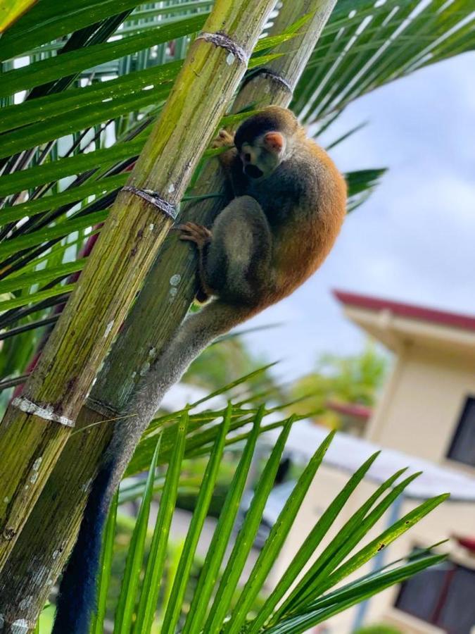 Suenos De Amor! Hermoso Y Acogedor Lugar Quepos Esterno foto